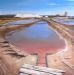 Salt Pan at Coega, Port Elizabeth