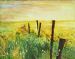 Fence in the Field