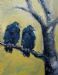 Crows