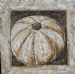 Urchin Sea Shell