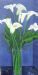 Arums on Blue
