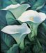 3 Arums