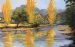 Golden Reflections