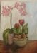 Orchids and Tulips