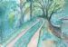 The Forest Road