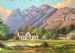 Wine Farm Near Paarl  Springtime