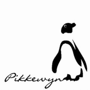 Pikkewyn