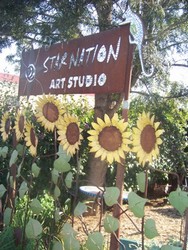 Star Nation Art Studio