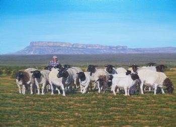 "Farm scene at Vredendal"