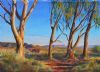 "Ruins at Tankwa Karoo"