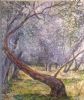 "Study of Olive Trees - After Claude Monet"
