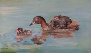 "Dabchick Family"