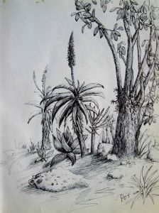 "Aloe Garden 1"