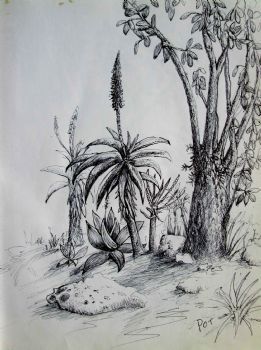 "Aloe Garden 1"