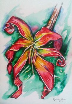 "Day Lily"