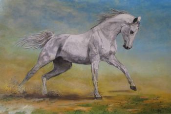 "White Horse in the Desert"