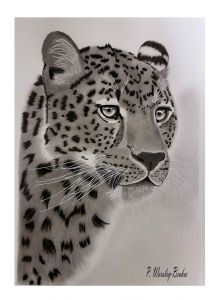 "The Watchful Leopard"