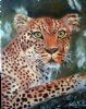 "Leopard"