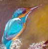 "Malachite Kingfisher"