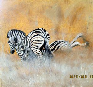 "Zebras Fighting"