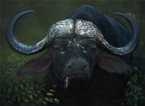 "Strength of the Buffalo"