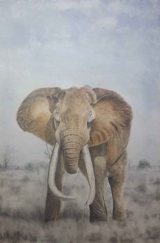 "Tusker"