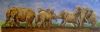 "Elephant Family"