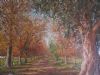 "Theuniskraal, Tulbagh"