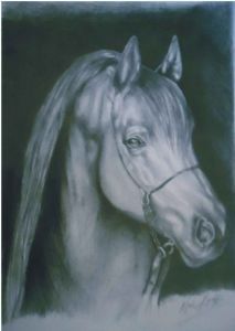 "Arabian Horse Sketch"