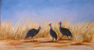 "Guinea Fowl"