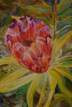 "Protea with foliage"