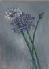 "Agapanthus in Glass Jug"