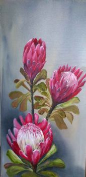 "Protea's"
