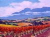 "Stellenbosch Country Landscape"