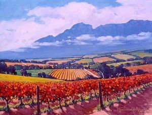 "Stellenbosch Country Landscape"