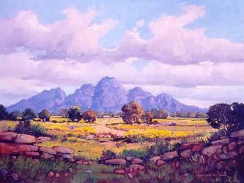 "Simonsberg with Open Veld"