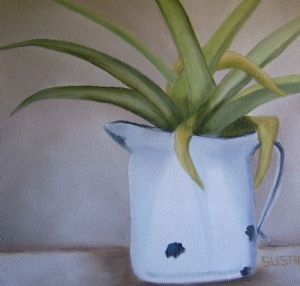 "Aloe 1"