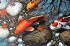"Autumn Koi "