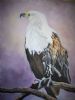 "Fish Eagle"