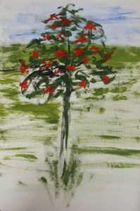 "Tree from my Window"