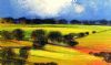 "Canola Fields"