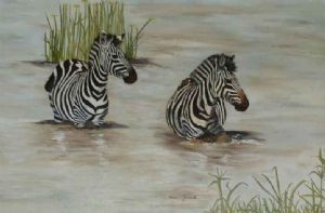 "Zebras in Water"