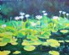 "Blue Water Lilies"