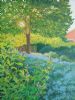 "Kings Grant Garden"
