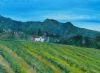 "Grape Farm"