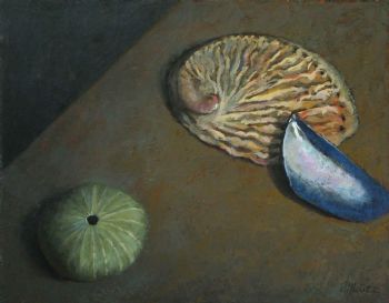 "Onderstebo Perlemoen (Upside down Abalone)"