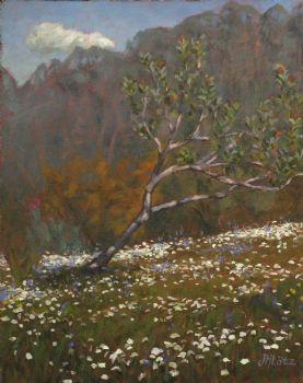 "Lenteveld (Field in Spring)"