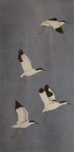 "Avocets"