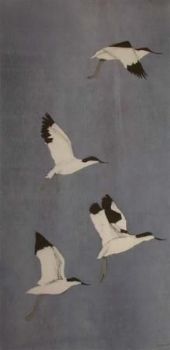"Avocets"