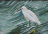 "Egret"